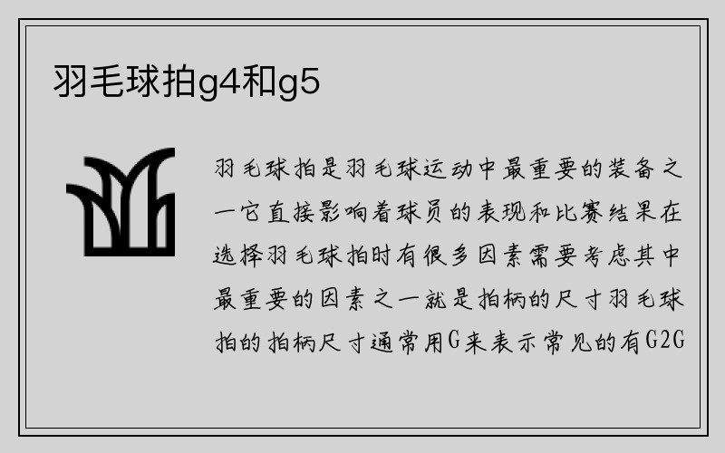 羽毛球拍g4和g5