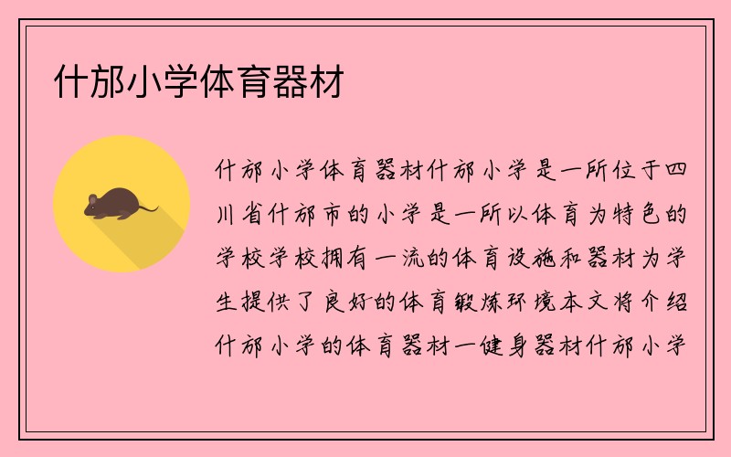 什邡小学体育器材