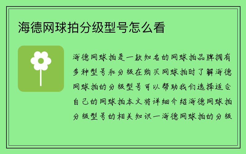 海德网球拍分级型号怎么看