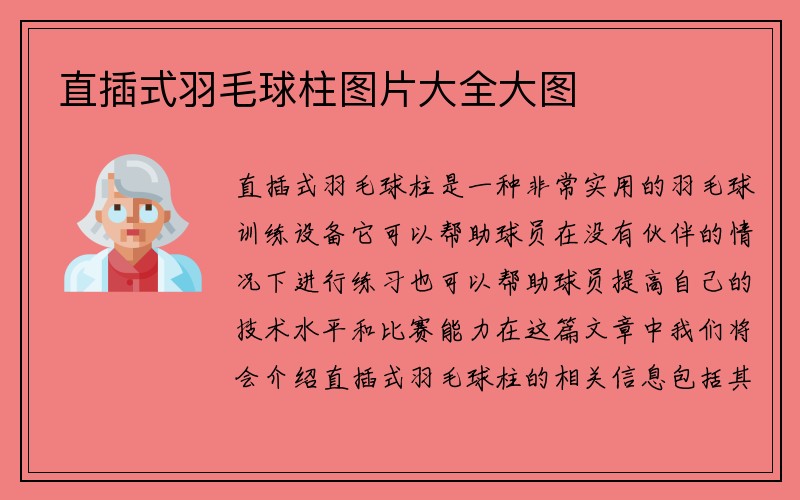 直插式羽毛球柱图片大全大图