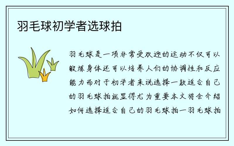 羽毛球初学者选球拍