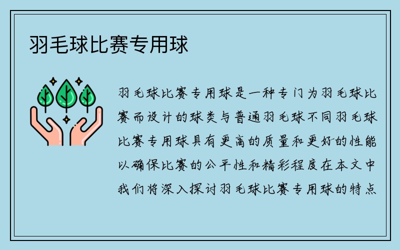 羽毛球比赛专用球