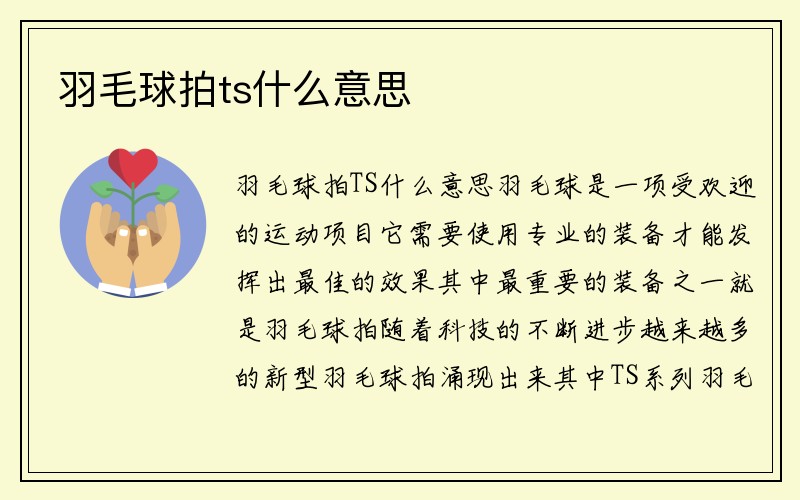 羽毛球拍ts什么意思