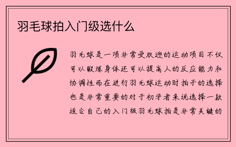 羽毛球拍入门级选什么